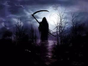 小草神镰刀视频爆料,神秘力量背后的真相曝光  第1张